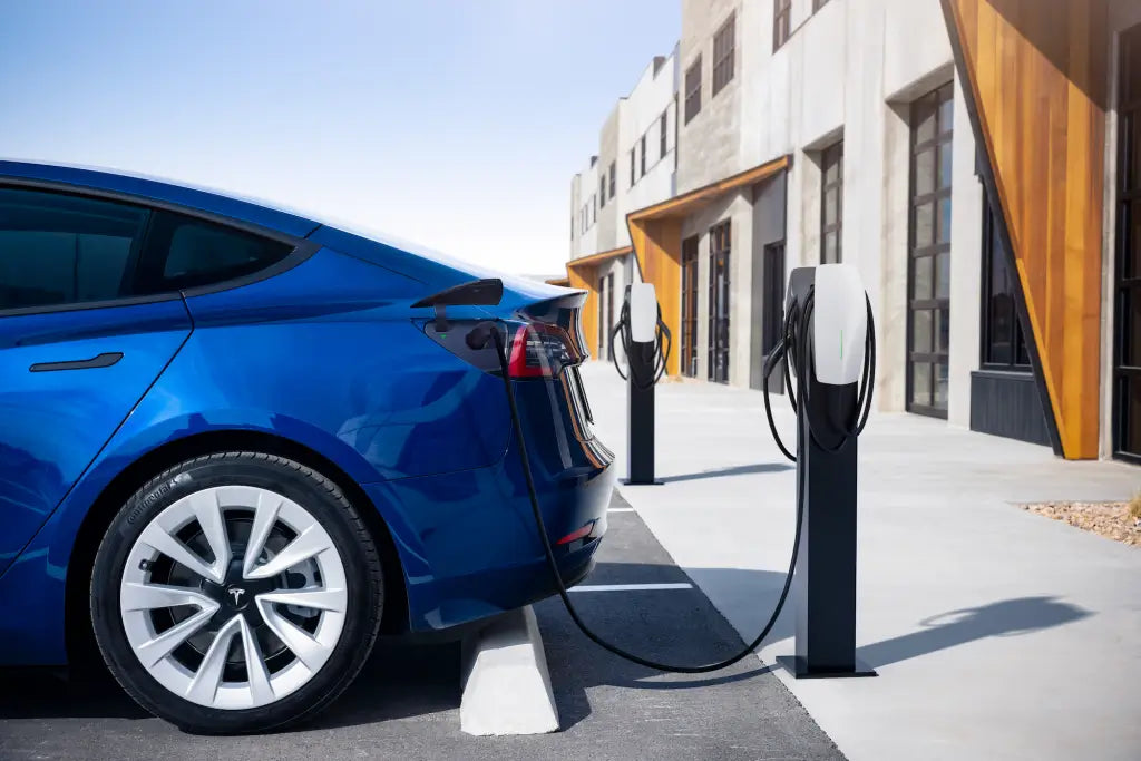 The Impact of Elon Musk's Spending: Tesla Price Drops and Price Cuts
