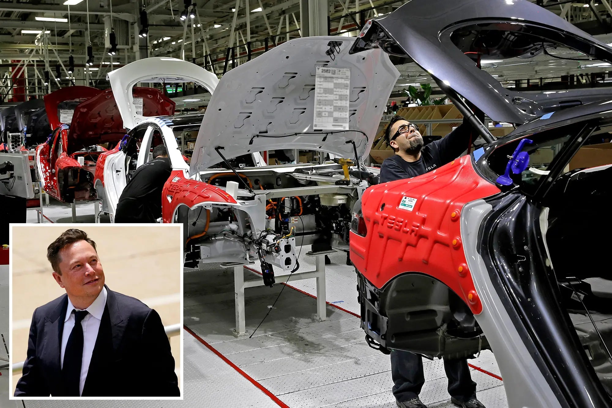 What degree or Major Do You Need to Work at Tesla?