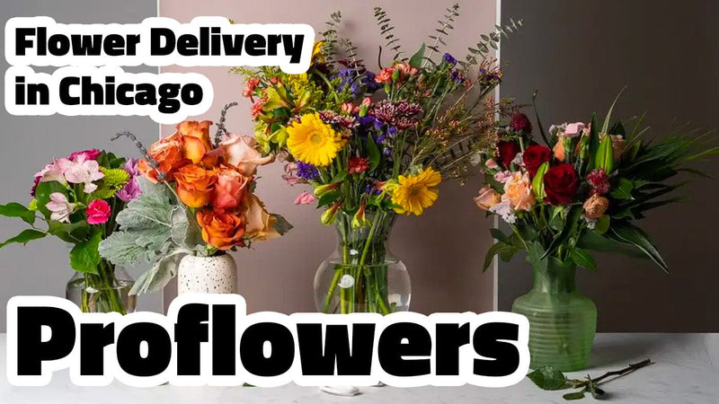 Flower Delivery in Chicago: Proflowers