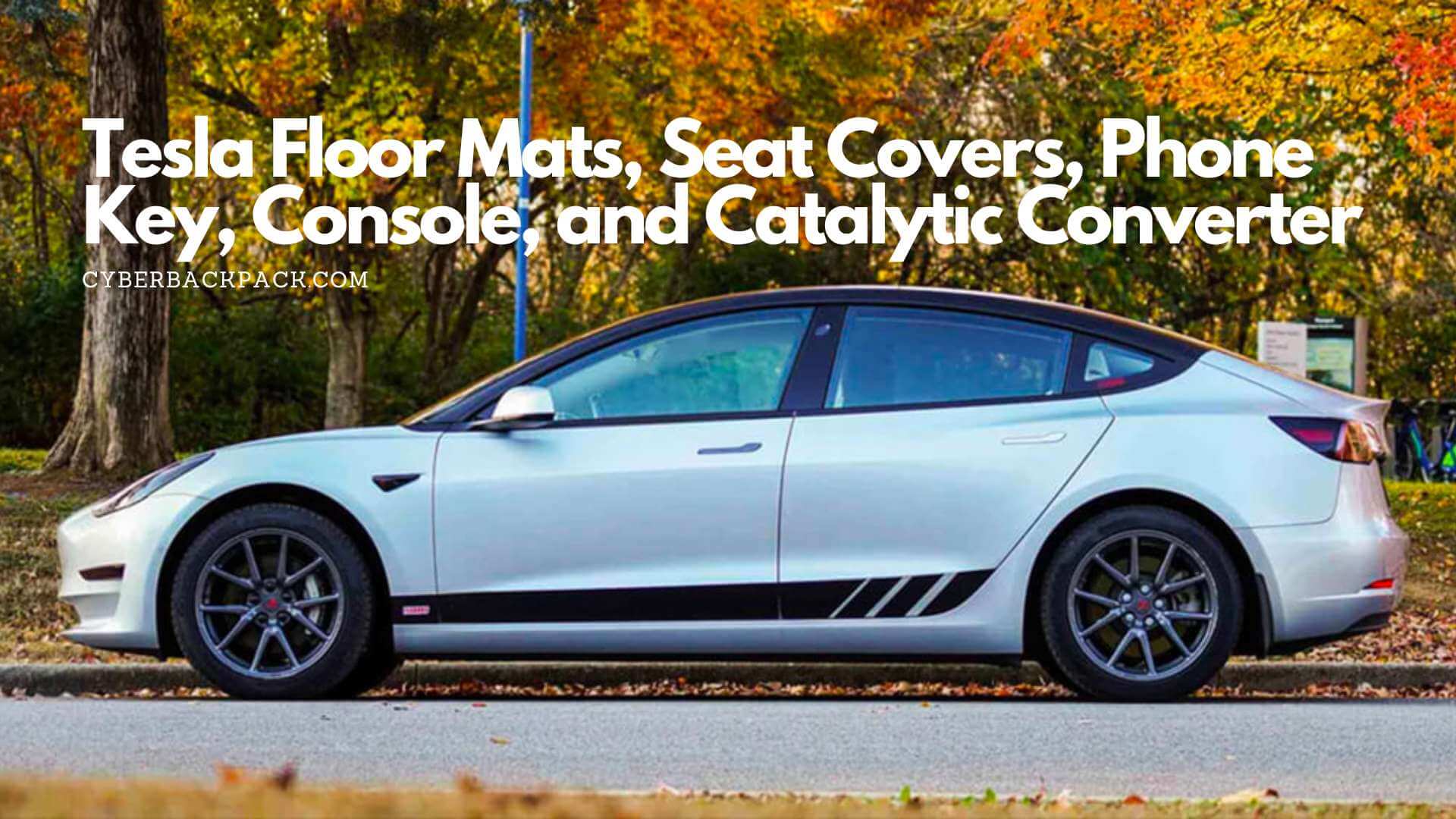Tesla Floor Mats, Seat Covers, Phone Key, Console, and Catalytic Converter