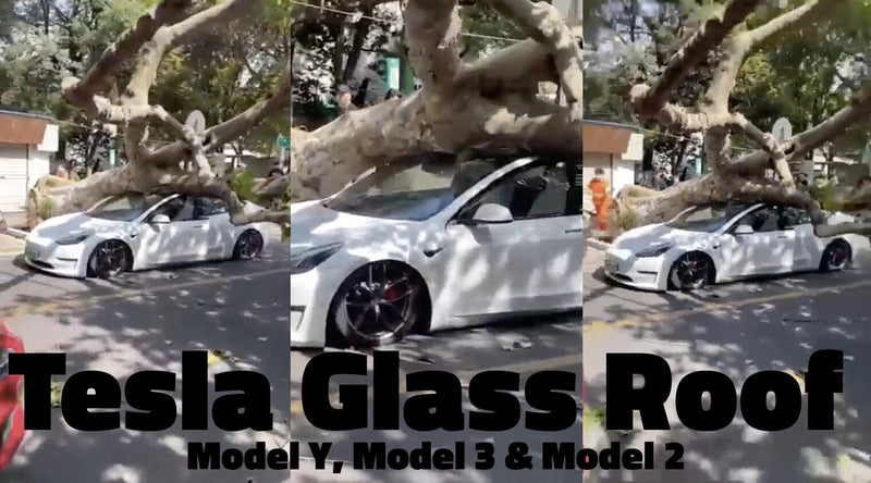 Tesla glass roof for Model Y, Model 3 and Model S