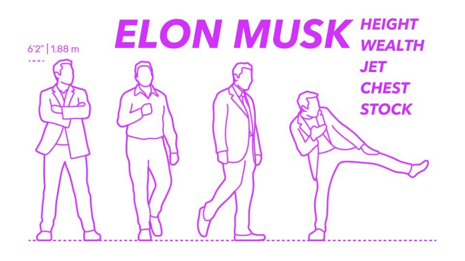The Height of Innovation: Examining Elon Musk height, wealth, jet, stick and chest, in Business and Beyond