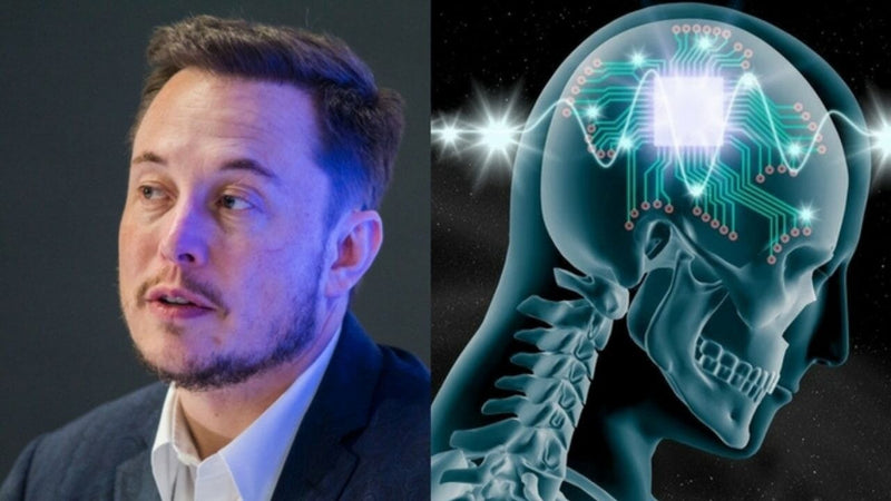 What Exactly Is Elon Musk Attempting To Do With Neuralink?